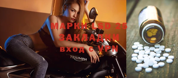 mix Богородицк